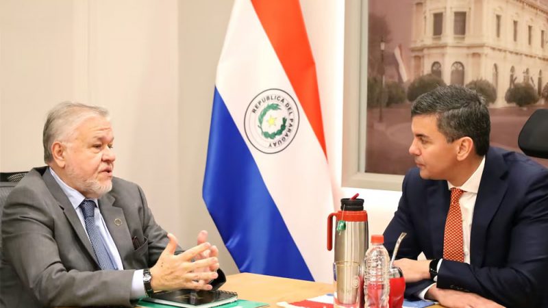 «Cuida intereses»: Peña protege a Brítez en el IPS pese a denuncias, acusa diputado