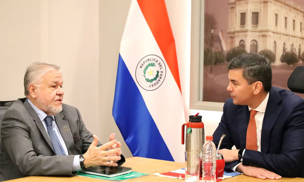 «Cuida intereses»: Peña protege a Brítez en el IPS pese a denuncias, acusa diputado