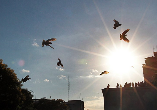 Inicio de año con ambiente caluroso, húmedo e inestable