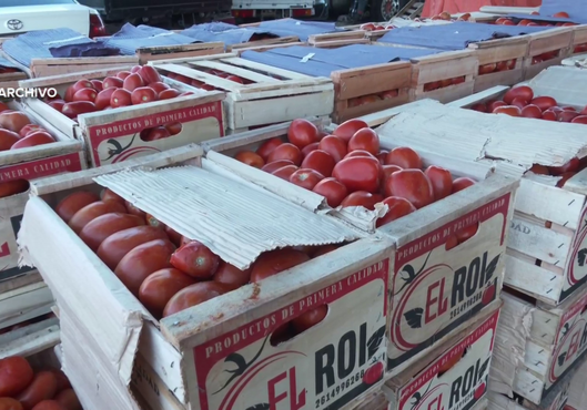 ¿Bajó realmente el contrabando? Desde el gremio frutihortícola, afirman que aún existen importantes falencias