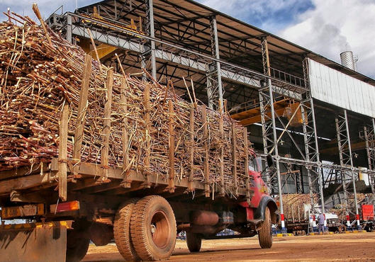 Advierten que falta de nuevo molino impedirá procesar toda la caña de azúcar en Petropar