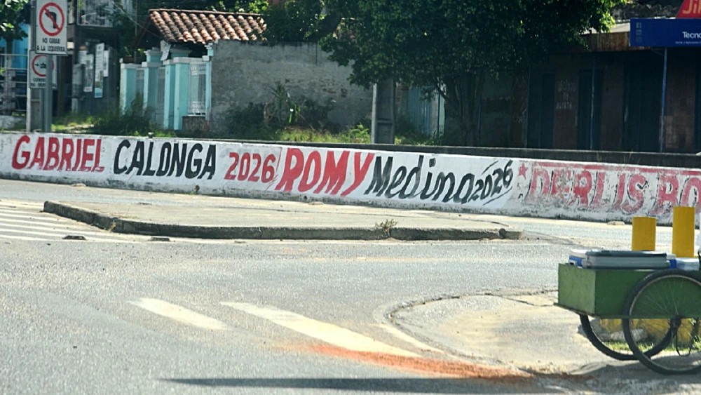 Precandidatos desafían la ley con propaganda fuera de tiempo electoral