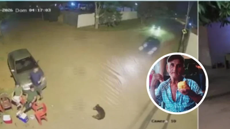 Terrible imprudencia al volante se cobra la vida de un abuelo y un perro en Luque