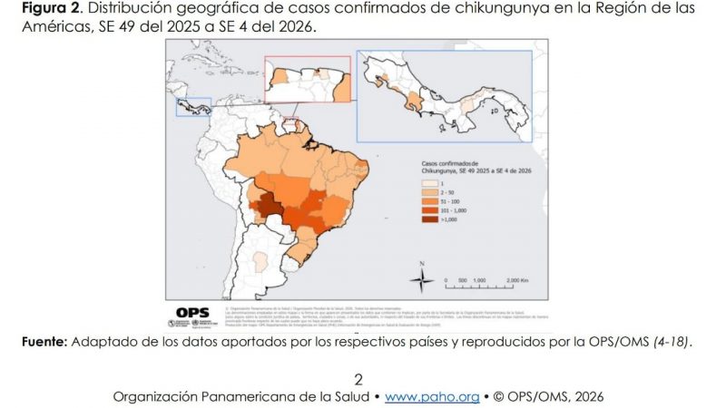 Emiten alerta por chikunguña: en Asunción hay casos importados de Bolivia