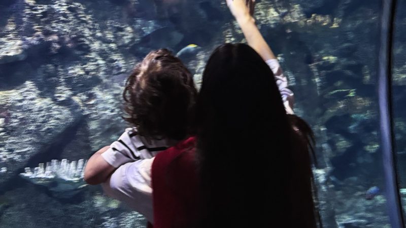 Nadia Ferreira llevó a su hijo Marquito a ver tiburones