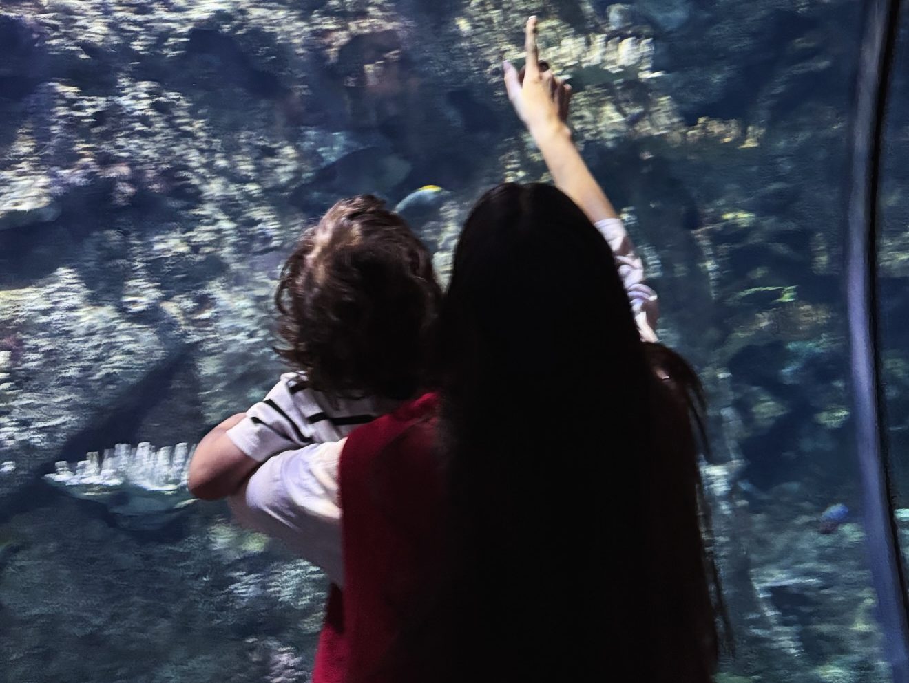 Nadia Ferreira llevó a su hijo Marquito a ver tiburones