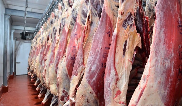 Sumario a frigoríficos arrojaría resultados dentro de 6 meses