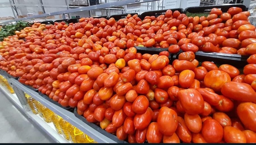 Anuncian plan para bajar el precio del tomate en las góndolas