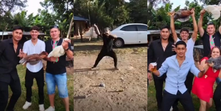 Condenan maltrato y sacrificio agónico de aves durante boda en Coronel Oviedo