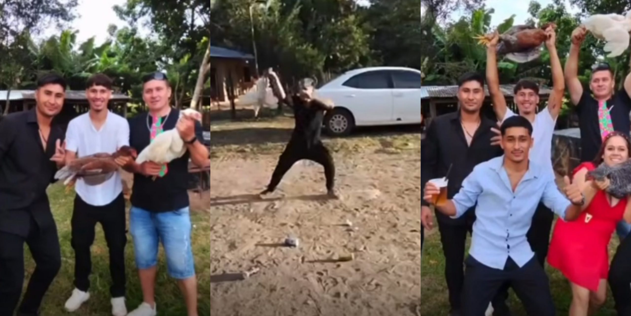 Condenan maltrato y sacrificio agónico de aves durante boda en Coronel Oviedo