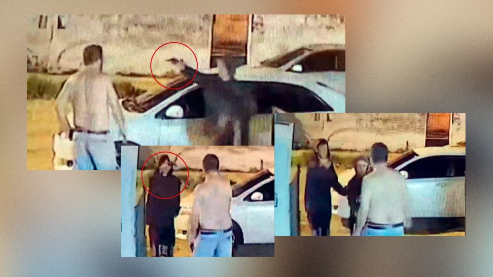 Tres jóvenes armados asaltaron a un hombre en el patio de su casa en Roberto L. Petit